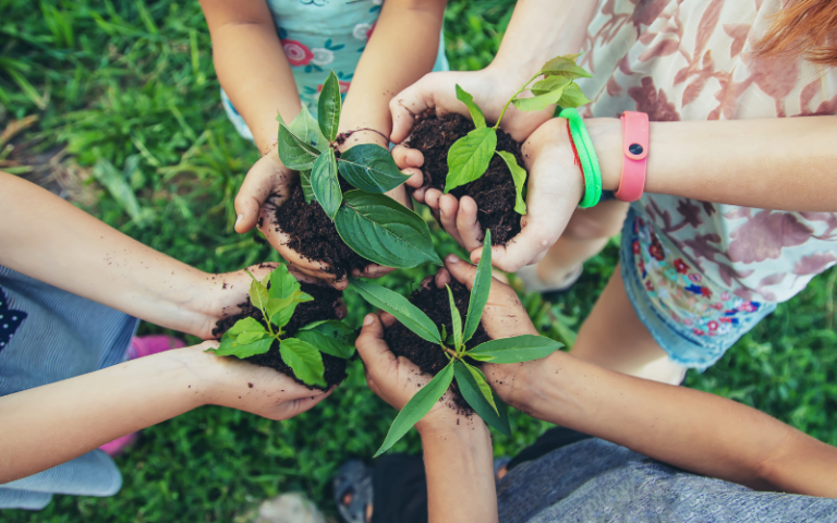 rse-ecologie-plante-mains-suppeinture-peinture-colomiers